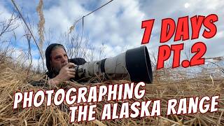 Photographing the Alaska Range - Denali Hwy | A Wildlife Photographer’s Journey Pt. 2