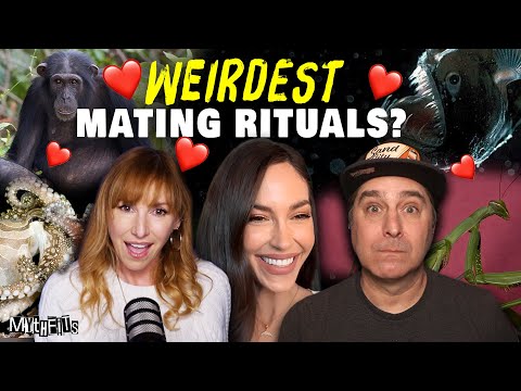 Weirdest Animal Mating Rituals: Valentine’s Day Special w/ Natalie Kyriacou