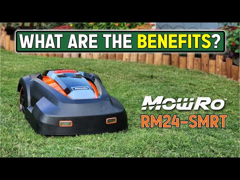 Stop Mowing Your Lawn! Save Time and Money