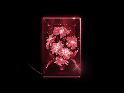 Xenia Rubinos - "Sacude"