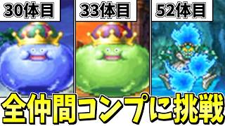 【DS版DQ5】DQM4開発決定！仲間モンスター全72種類をコンプリートする生配信-Part1-【LIVE】