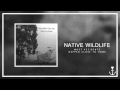 Native Wildlife - Most Accidents Happen Close to ...