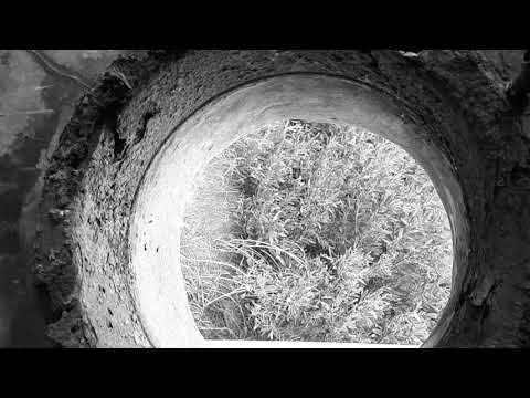 Diofaro - NZT48 (Official Video)