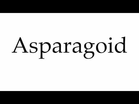 How to Pronounce Asparagoid