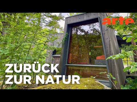 Video Thumbnail: Ein Krankenzimmer im Wald | Die heilende Kraft der Räume | ARTE