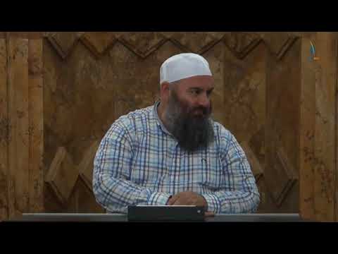 Dr. Ali el Verdi (sociolog nga Iraku) - Hoxhë Bekir Halimi