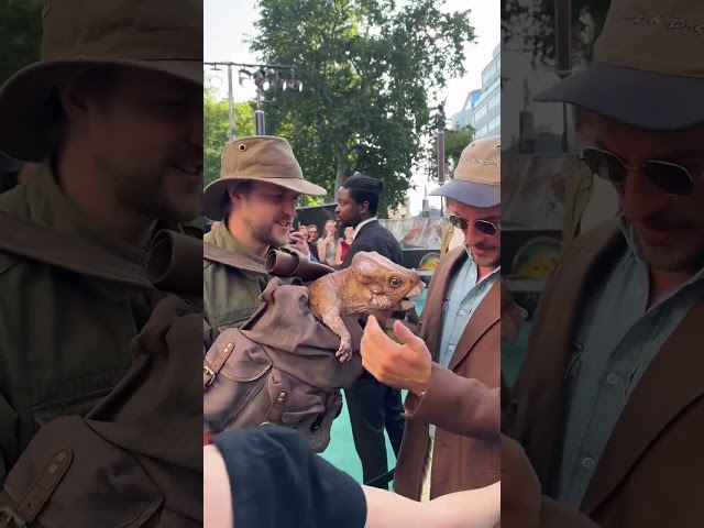 Jonathan Bailey and Dolores together again