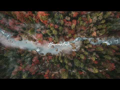 Avidus - Wanderer's Nightsong (Betical Remix)