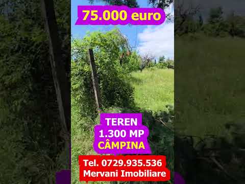 Teren de vanzare in Campina — Video