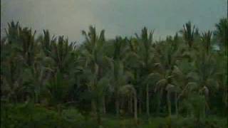 The Doors - The End (Apocalypse Now)