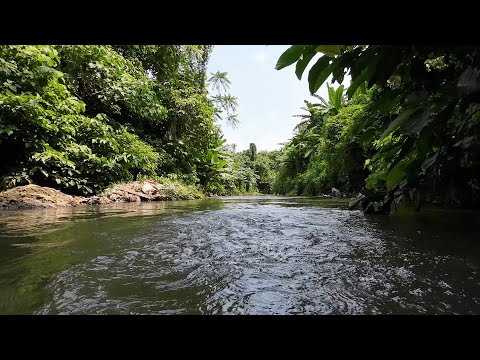 SE03EP177 - SAMPUNG GAYAT ang HITO ni BUDA at BAYANO | Catch & Cook - San Pablo City, Laguna