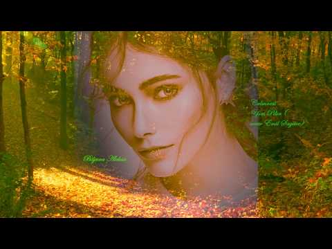 Calmness - Yuri Pilin (cover Emil Sagitov)