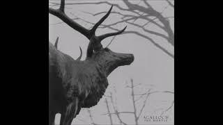 Agalloch - And the great cold death of earth, subtitulado al español