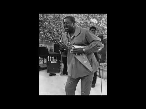 Albert King - Grant Park - Chicago Blues Festival - 6/11/68 SBD - Full Concert