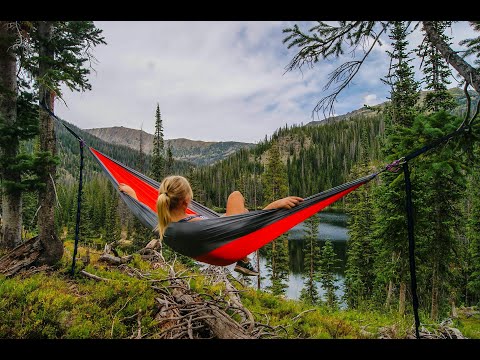 Dr Dawn April Ross, PhD - Metaphysical Counselor video.