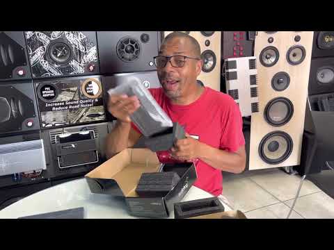 Audiofrog Amplifier