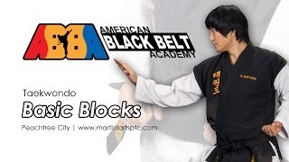 preview picture of video 'Basic Blacks | ABBA Martial Arts & Karate in Peachtree City'