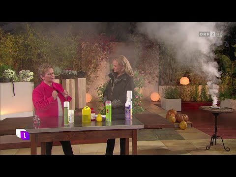 Marianne Jäger - Schädlinge im Herbst