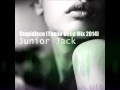 Junior Jack - Stupidisco (Tomio Deep Mix 2014 ...
