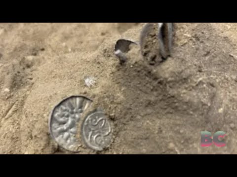Denmark Unveils Staggering Discovery: Ancient Viking Coins Preserved for a Millennium