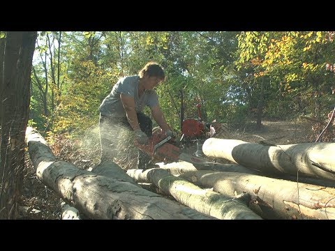 Razgovori pokraj puta - Zena drvoseca - Obicaji Radjevine - Dobrivoje i Dobrila Pantelic