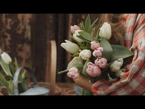 Daniel & Emanuela Hirtie - Am nadejde