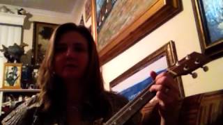 Come take a trip in my airship cover