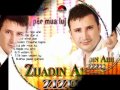 Zijadin Alili - Here Me Don E Here S'me Don