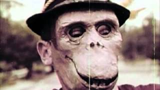 Bike - Syd Barrett / Pink Floyd cover by The Farmingdale Sound Machine