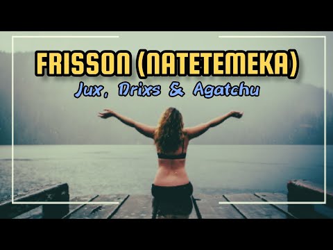 Good Nation, Jux, Drixs & Agatchu - Frisson ( Natetemeka) [Visualizer] Lyrics.
