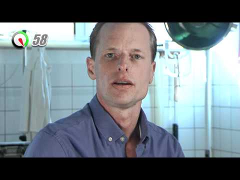 Koorts | Paard | 100 Seconden Dierenarts