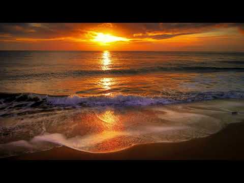 MusicWords-Party Mix