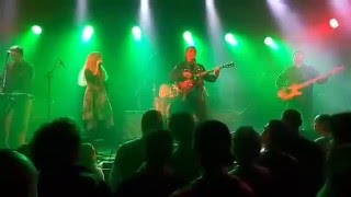 Os Mutantes-Panis et Circenses Live in Tel-Aviv