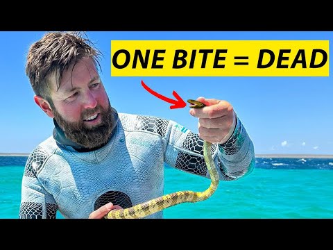 This Is The Closest I've Ever Come To Death...