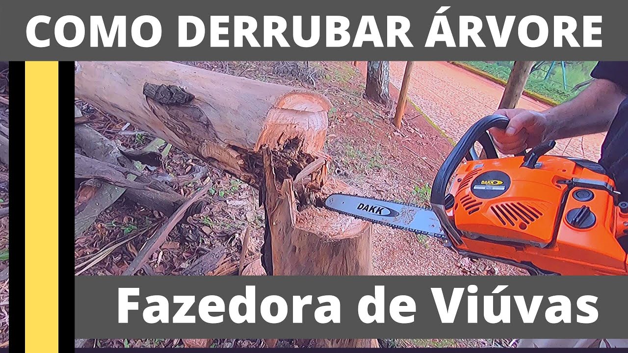 CUIDADO! Como derrubar uma árvore fazedora de viúvas com uma motosserra DAKK , macetes mortais !