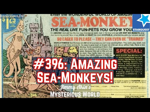 The Amazing Sea Monkeys! - Jimmy Akin's Mysterious World