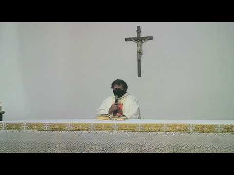 Missa de domingo ao vivo Nova Matriz