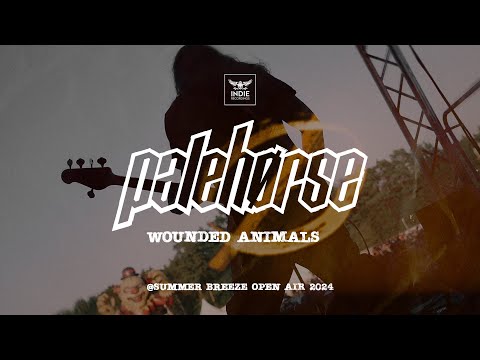 Palehørse - Wounded Animals (Summer Breeze Open Air 2024 / Lyric video)