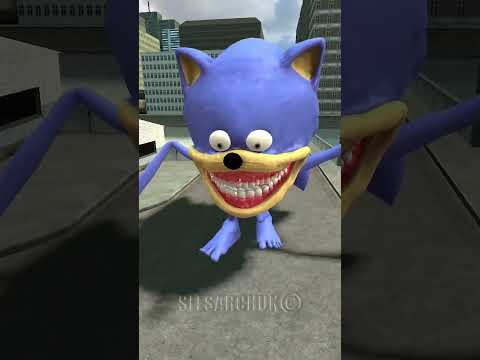 EVOLUTION SONIC MONSTER TAPES CURSED VS ZOOCHOSIS MUTANTS SHARK BIG CITY IN GMOD #sonictapes #sonic
