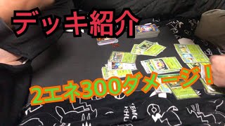 【ポケカ】初心者向け草デッキ紹介(ドダイトス)