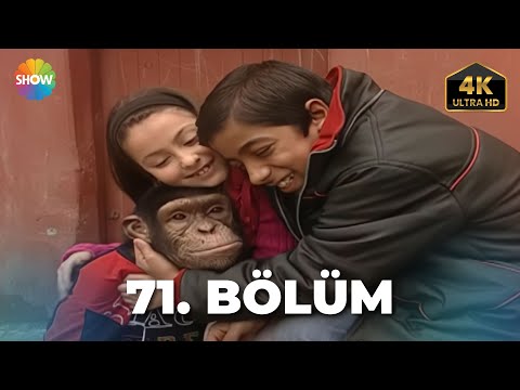Cennet Mahallesi 71. Bölüm | Ultra HD 4K