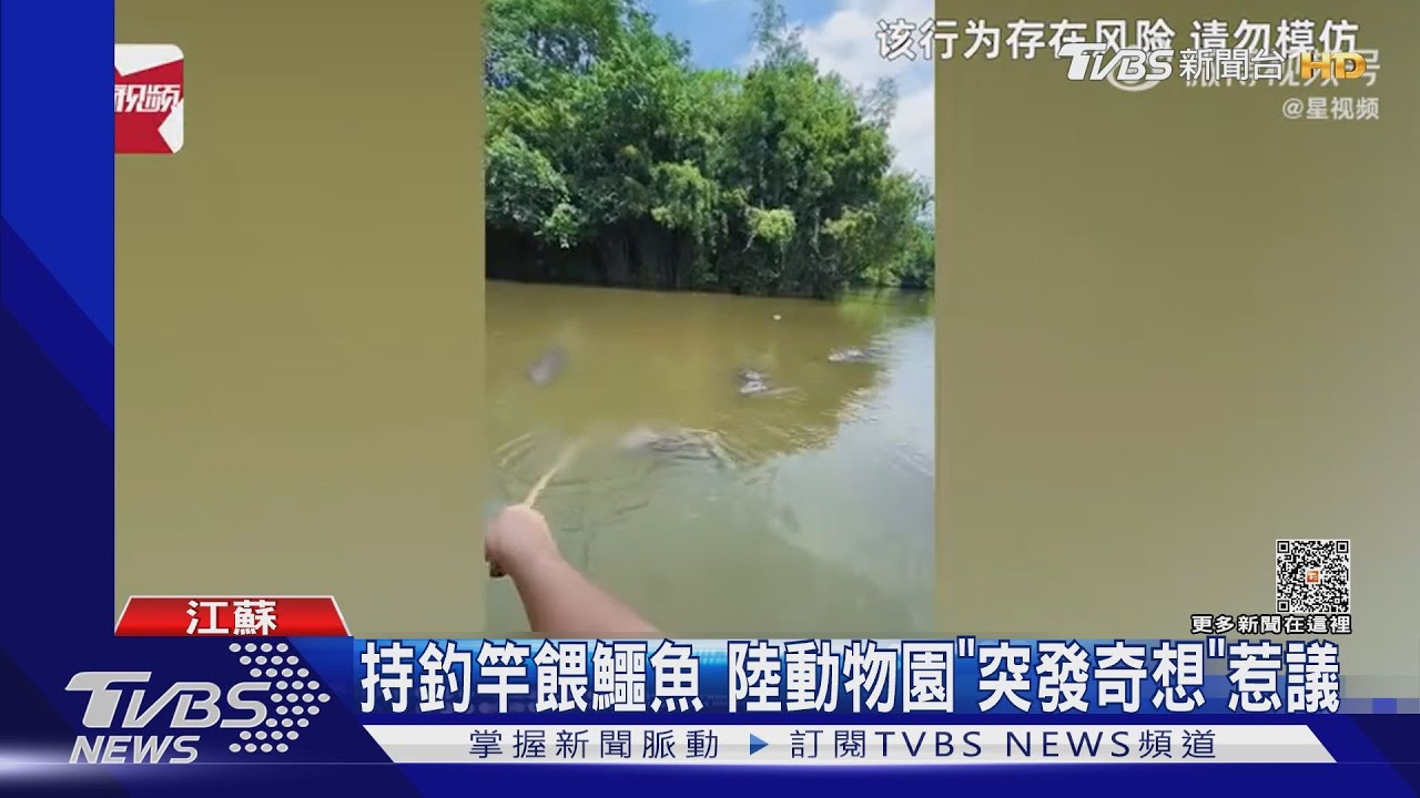 釣竿餵鱷魚 陸動物園突發奇想惹議