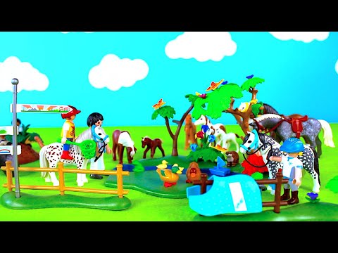 Fun Playmobil Farm Animal Diorama and Barnyard Animal Figurines