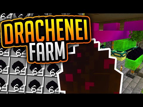 Drachenei Farm (Tutorial) ✨Minecraft 1.16.4 ✨ ErikOnHisPeriod