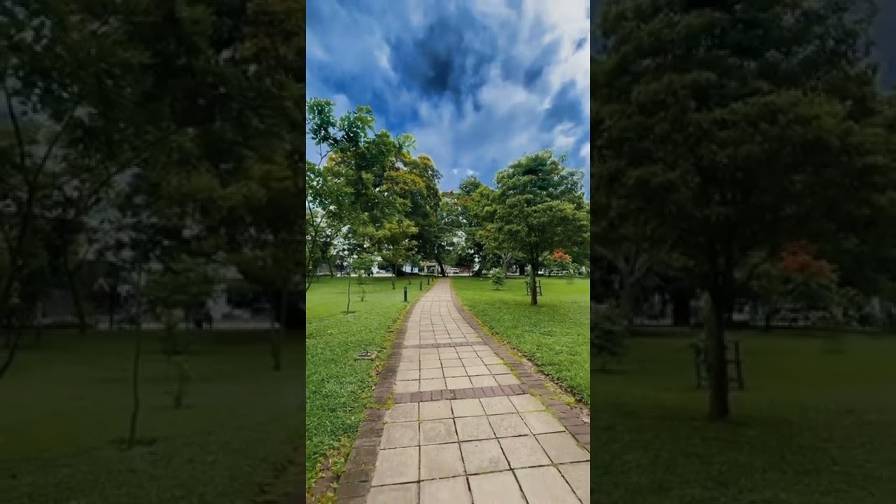 YouTube Short thumbnail