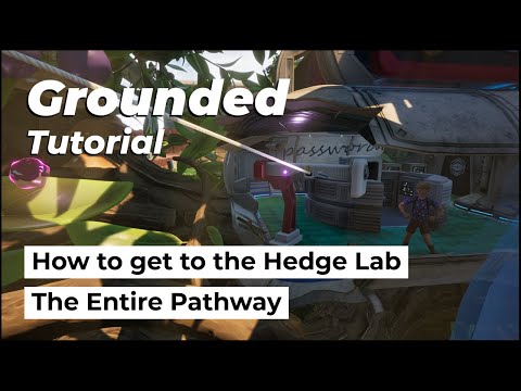How to Get to the Hedge Lab on Grounded 1.0