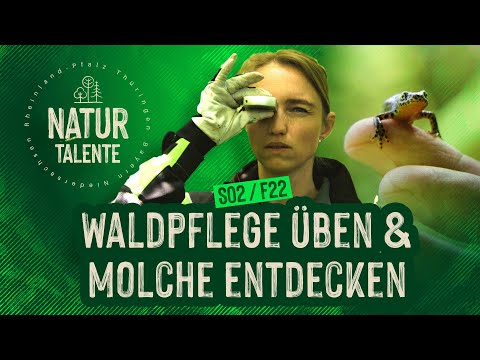 Waldpflege üben & Molche entdecken | #NATURTALENTE Folge 22 I Staffel 2