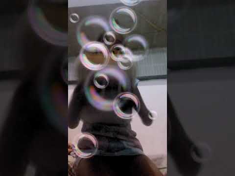 Famosos na escola parti 2