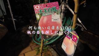 【何も無い日常系VLOG】桃の苗を買いに行く
