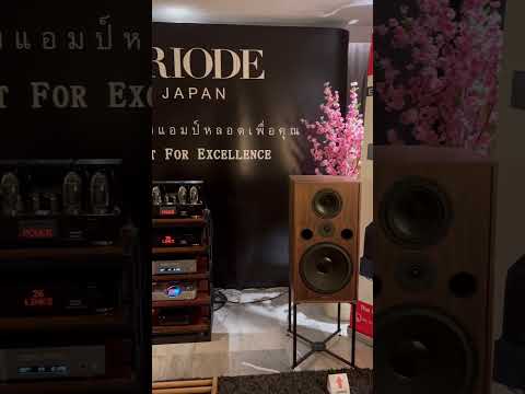 #AudioForce #TRIODE #TriodeTubeAmplifier #TheBestTubeAmp